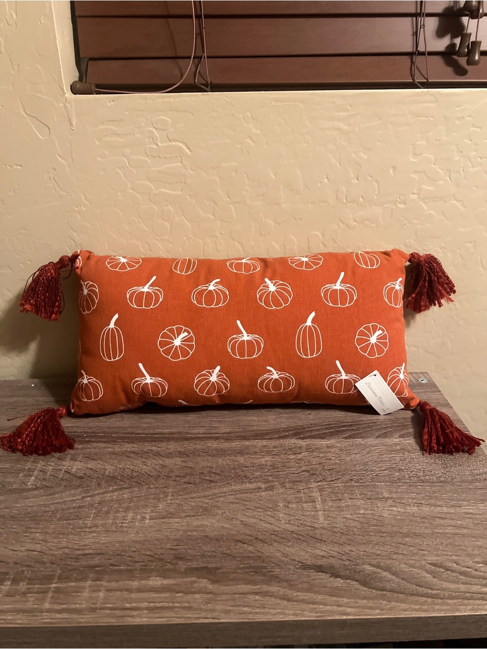 Target Bullseye Tassel Throw Pillow Pumpkins Orange White Lumbar Fall Autumn NWT